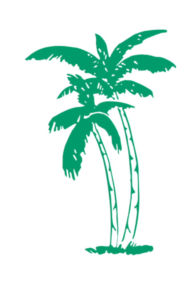 Palm Tree