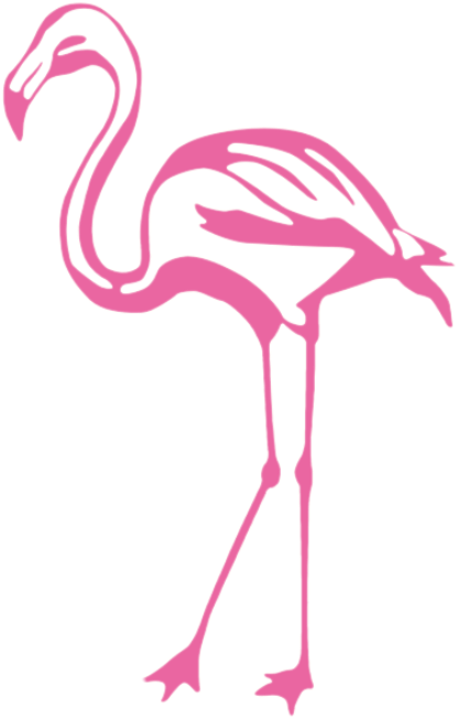 フラミンゴ